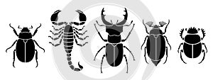 Beetle logo. Isolated beetle on white background