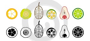 Fruit logo. Isolated fruit on white background