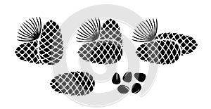 Pine nut logo. Isolated pine nut on white background. Cedar