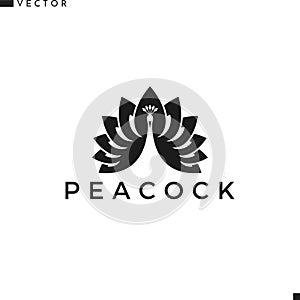 Peacock logo. Abstract bird