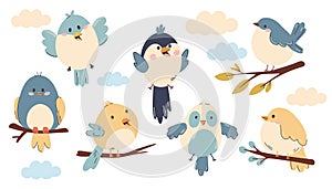 Set of cute birds. Cute birds sitting and flying