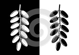Date fruit logo. Isolated date fruit on white background