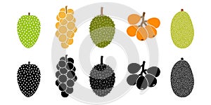 Fruit logo. Isolated fruit on white background