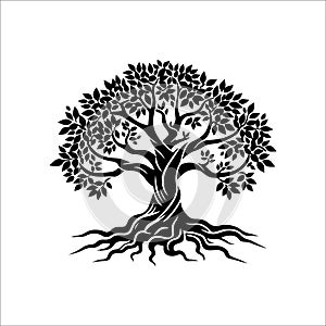 best banyan tree silhouette vector illustration