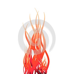 Fire flames on white background. Vector illustration.