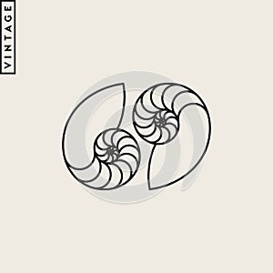 Nautilus shell vector