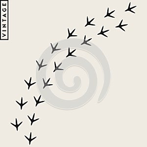 Chicken paw print. Bird paw print