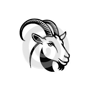 Goat head vector