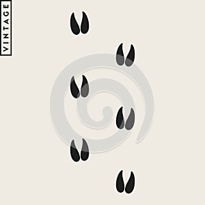 Antelope footprint. Impala paw print