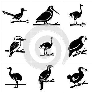 A collection of nine black and white bird illustrations perched on branches in a grid format