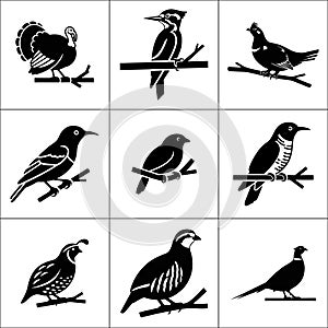 Collection of nine black and white bird silhouettes perched on branches in a square grid pattern