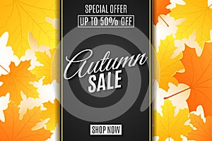 Web banner for Autumn sale. Advertising seasonal banner. Invitation greeting card. Calligraphy and lettering. Orange maple leaves.