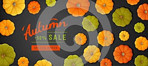 Web banner for Autumn sale. Horizontal banner flyer with pumpkins on a black texture. Special seasonal offer. Top view background.