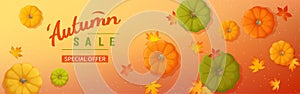 Web banner for Autumn sale. Horizontal banner flyer with pumpkins, maple leaves on a colored background. Special seasonal offer.