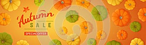 Web banner for Autumn sale. Horizontal banner flyer with yellow, green, orange pumpkins, leaves on a orange background.