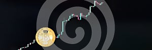 Web banner with bitcoin on the background of the price chart.