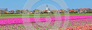 Skyline Den Hoorn Texel the Netherlands photo