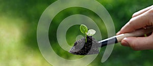 Web banner of hand of man shovel a litle seeding of plant for move to new place