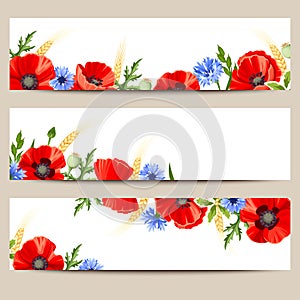 Web banners with poppies and cornflowers. Vector eps-10.