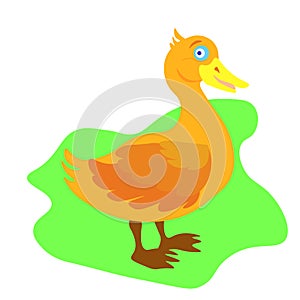 Web Cartoon cute duck. Vector illustration of funny happy animal