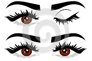 Web Closeup detail illustration of beautiful female brown eyes with eyelids open and closed