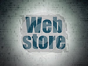 Web design concept: Web Store on Digital Data Paper background
