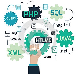 Web Development