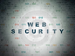 Web development concept: Web Security on Digital Data Paper background