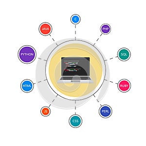 Web development infographic. Programming languages. Programming and coding. Vector illustration