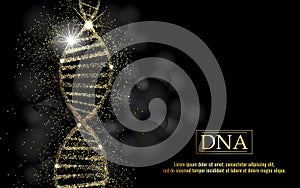 Web DNA sequence, DNA code structure