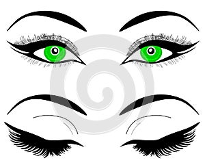 Web Green eyes of a woman or a girl. Black eyebrows, makeup, eyelashes. A set of open and closed eyes