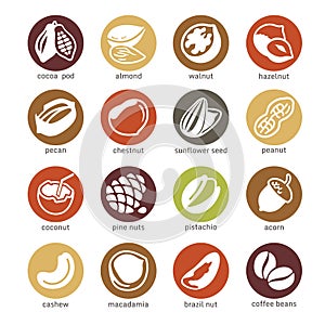 Web icon set - nuts and seed