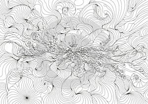 Web-like structure with branching patterns, resembling a complex network