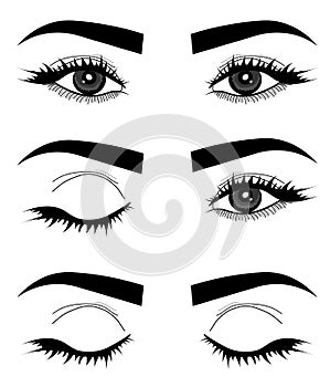 Web. Micro blending. Vector of eyes, eyelids and eyebrows. Logo of a woman`s face