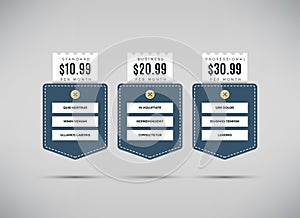 Web pricing table with comparison of business services