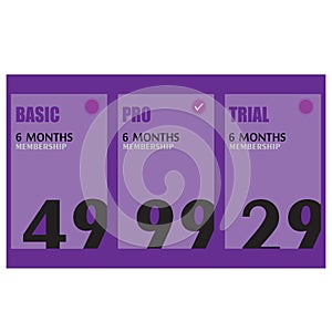 Web pricing table design for business banner