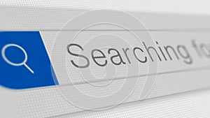 Web search bar