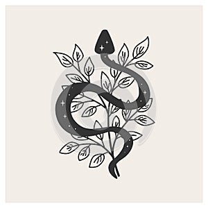 Snake among the branches