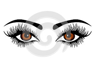 Web Vector female eyes with long lashes