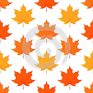 Vector illustration of maple leaf pattern. Beautiful autumn background.