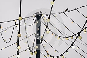 Web of wires of festive lighting with vintage light bulbs on the background of the cloudy sky in the evening