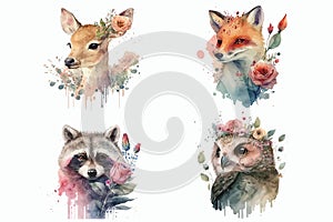 WebFox, deer, raccoon and owl in watercolor style. Isolated vector illustration