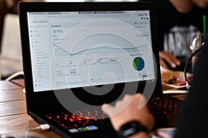 Webmaster view a report graph from Google Analytics.