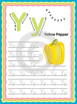 WebPreschool Colorful letter y Uppercase and Lowercase Tracing alphabets start with Vegetables and fruits daily writing practice