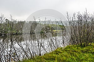 Webs On Branches