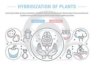 Website Banner and Landing Page of Hybridization of Plants.