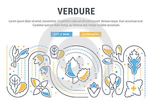 Website Banner and Landing Page of Verdure.