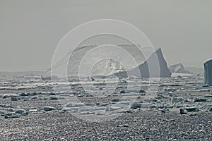 Weddell Sea Scenery, Antarctica