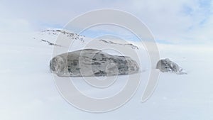 Weddell seal family in antarctica winter snow