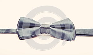 Wedding accessories. Elegant look. Esthete detail. Modern formal style. vintage and retro style. Groom wedding. male bow